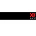 Morel
